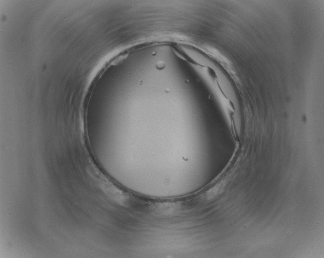 X0000075921280200610062158