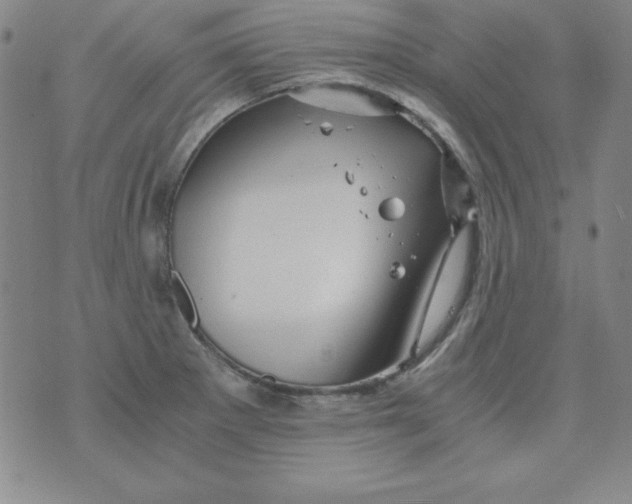 X0000075921281200610062158