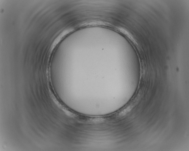 X0000075921282200610062158