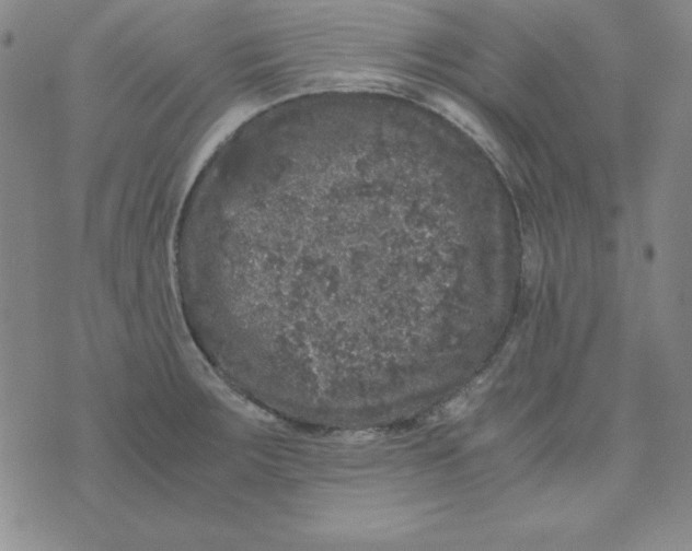 X0000075921283200610062158