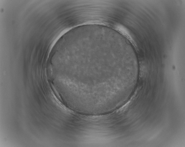 X0000075921284200610062158