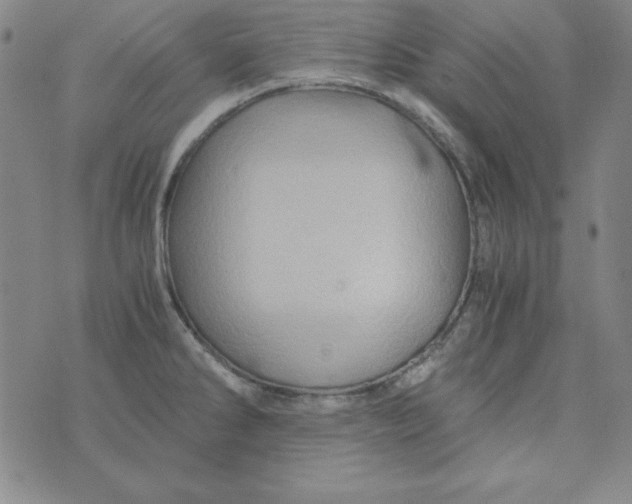 X0000075921286200610062158