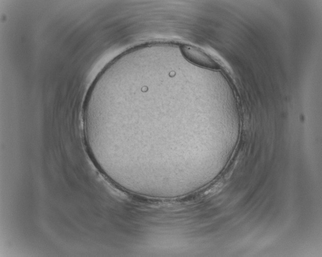 X0000075921287200610062158