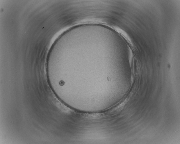 X0000075921288200610062158