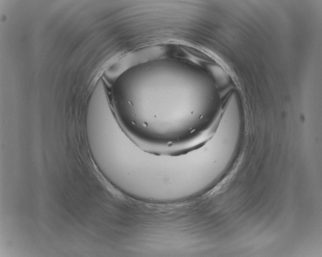 X0000075921289200610062158