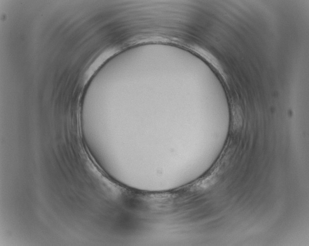 X0000075921290200610062158