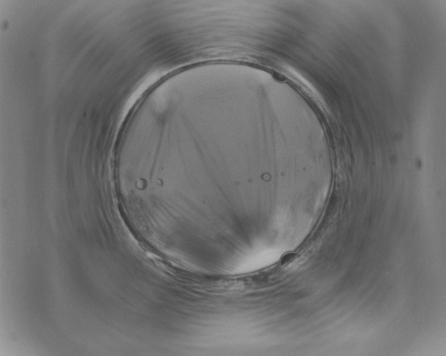 X0000075921291200610062158