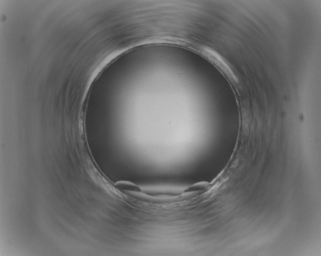 X0000075921292200610062158