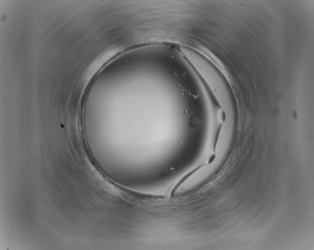 X0000075921293200610062158