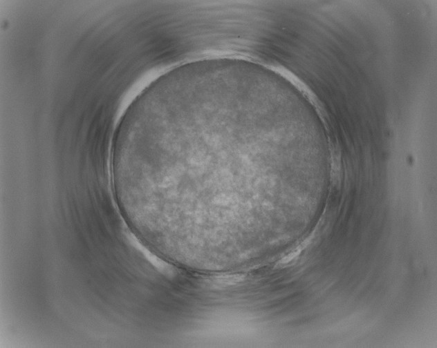 X0000075921294200610062158