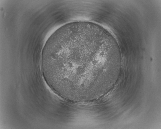 X0000075921295200610062158