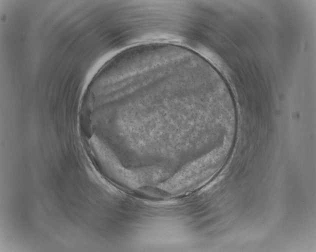 X0000075921296200610062158