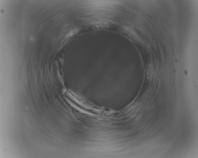 X0000075921298200610062157