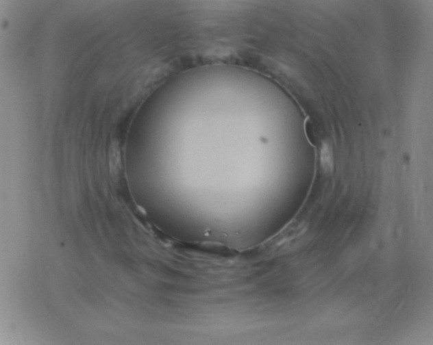 X0000075921299200610062157