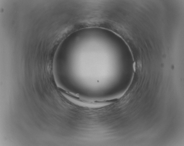 X0000075921300200610062157