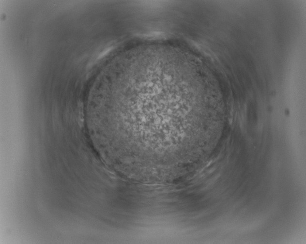 X0000075921301200610062157