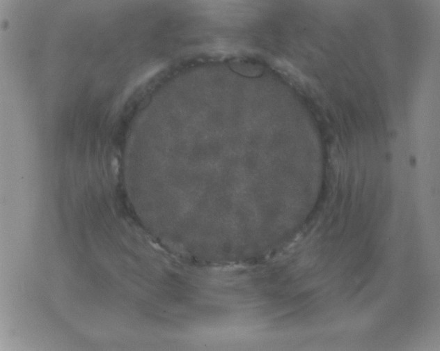 X0000075921302200610062157