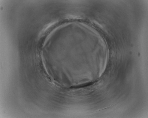 X0000075921303200610062157