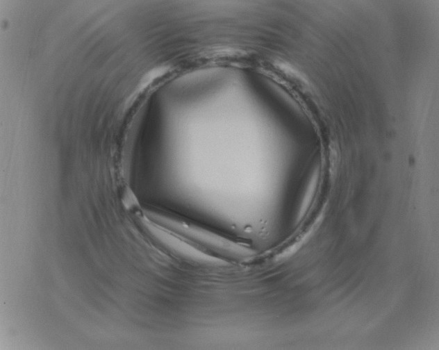 X0000075921305200610062157