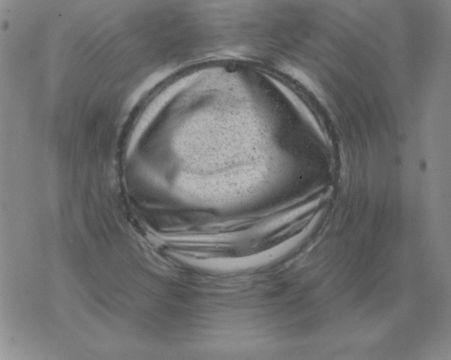 X0000075921308200610062157