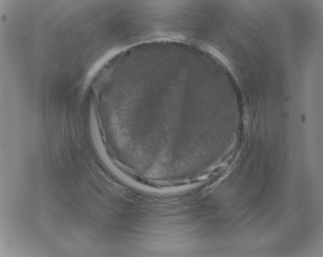 X0000075921310200610062157