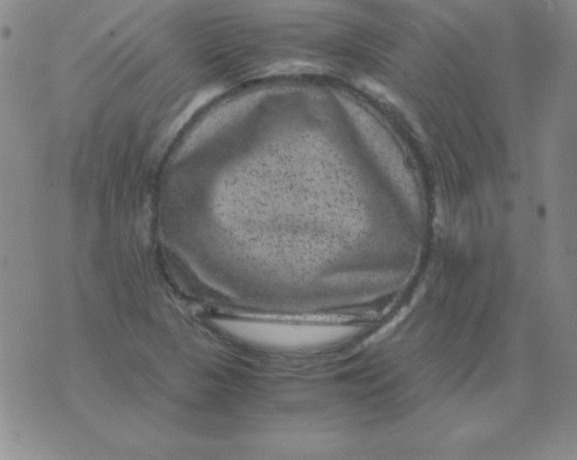 X0000075921313200610062158