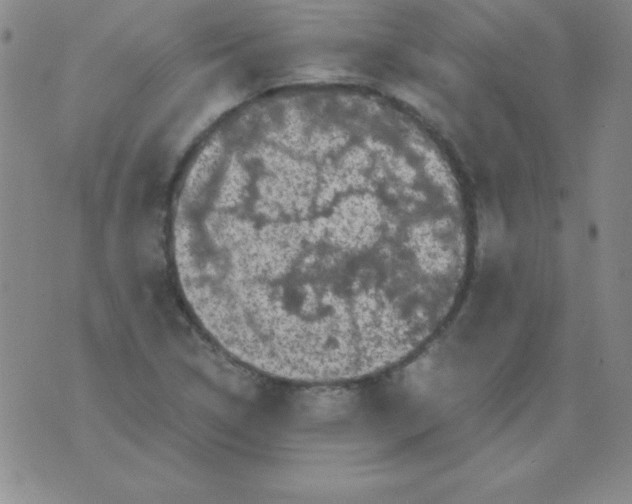 X0000075921314200610062158