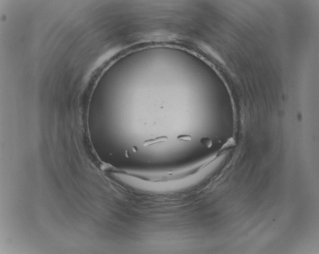 X0000075921315200610062158