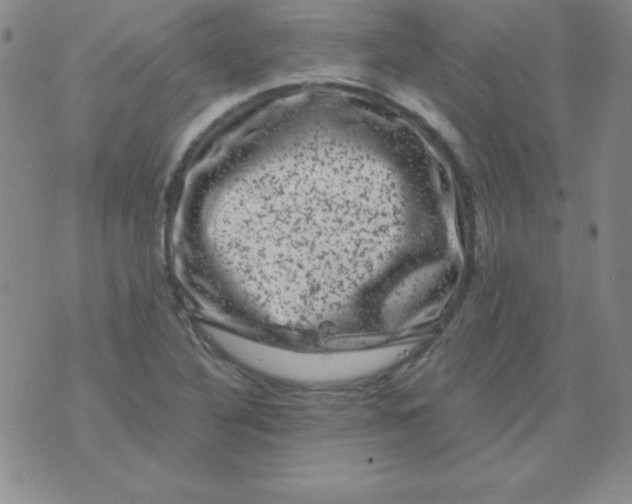 X0000075921316200610062158