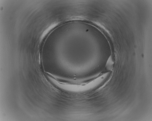 X0000075921317200610062158