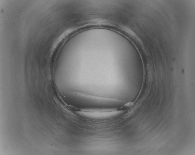 X0000075921318200610062158