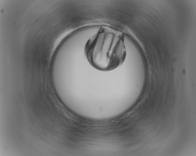 X0000075921320200610062158