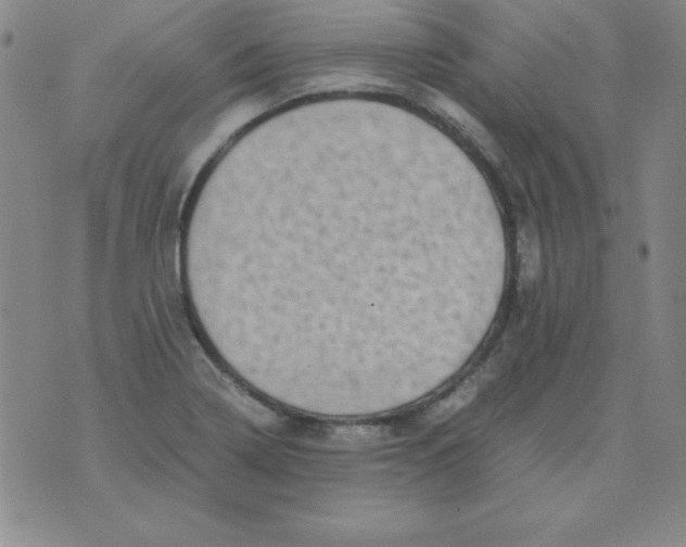 X0000075921322200610062158