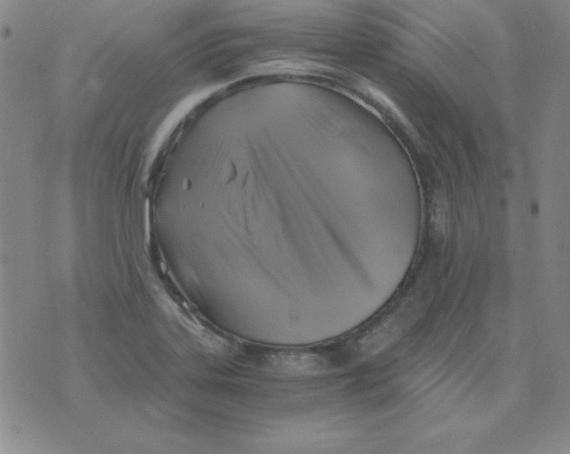 X0000075921323200610062158