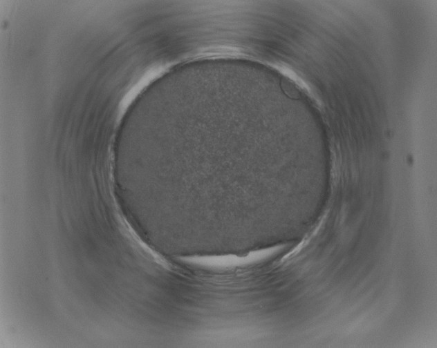 X0000075921325200610062158