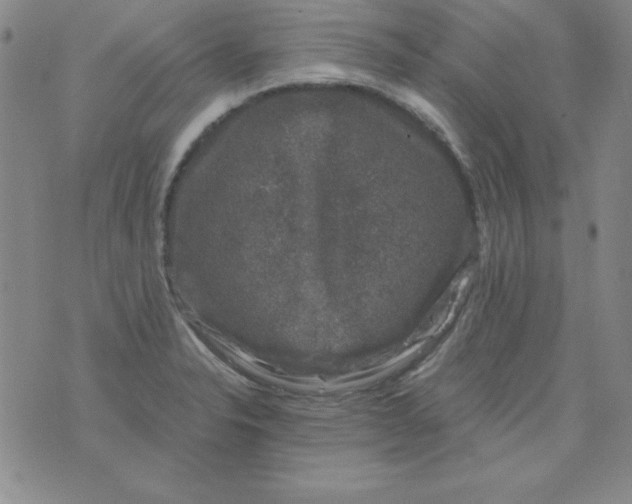 X0000075921326200610062158