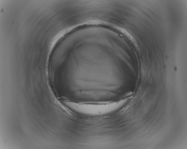 X0000075921327200610062158