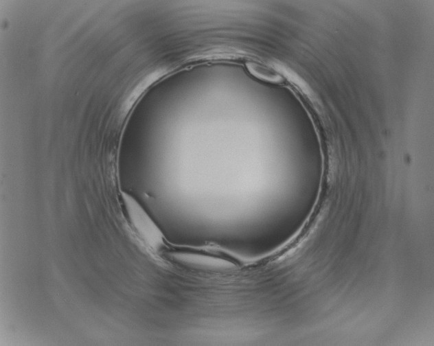 X0000075921329200610062158