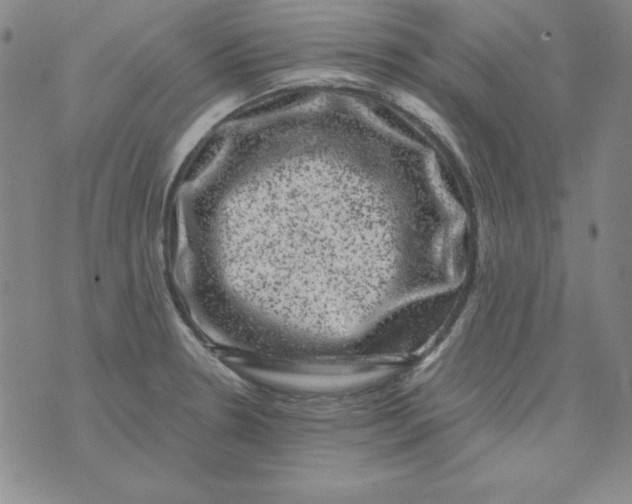 X0000075921330200610062158