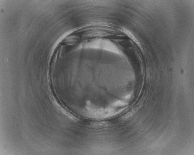 X0000075921331200610062158