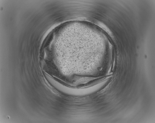 X0000075921332200610062158