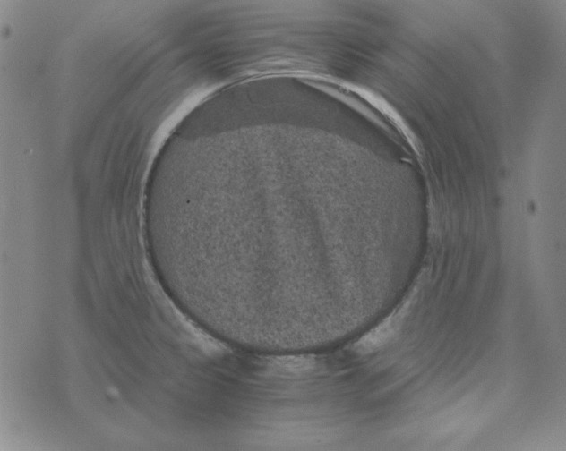 X0000075921333200610062158