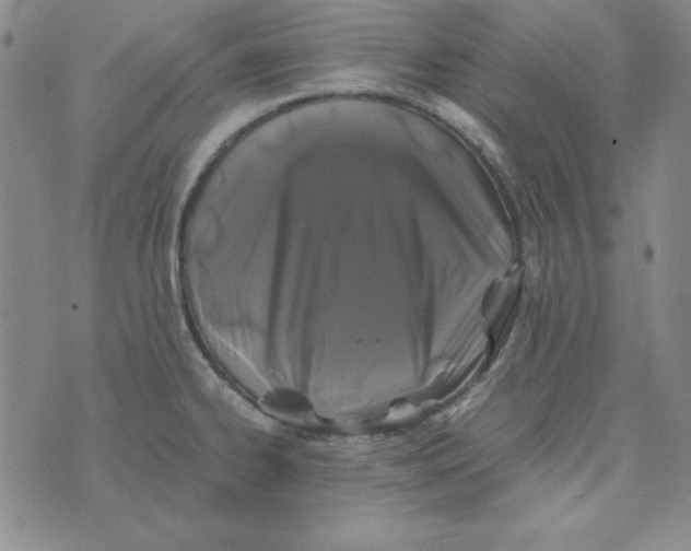 X0000075921334200610062158