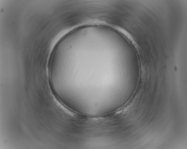 X0000075921335200610062158