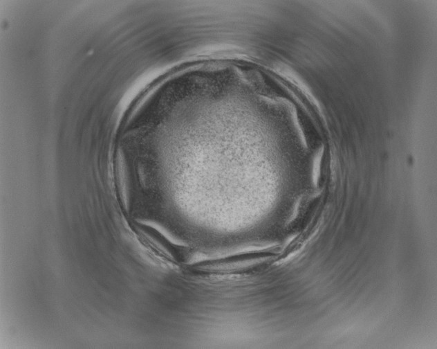 X0000075921336200610062158