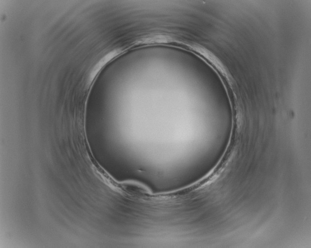 X0000075921337200610062158