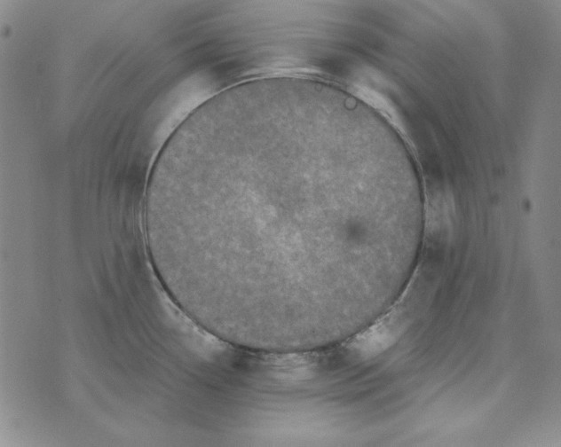 X0000075921338200610062158