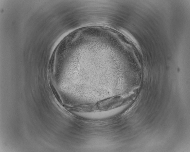 X0000075921340200610062158