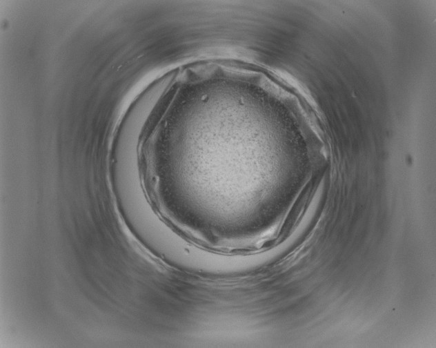 X0000075921342200610062158