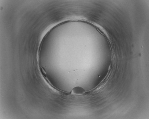 X0000075921343200610062158